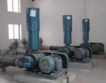 羅茨鼓風(fēng)機(jī)_滄州電廠項(xiàng)目案例 羅茨鼓風(fēng)機(jī)_滄州電廠項(xiàng)目案例
